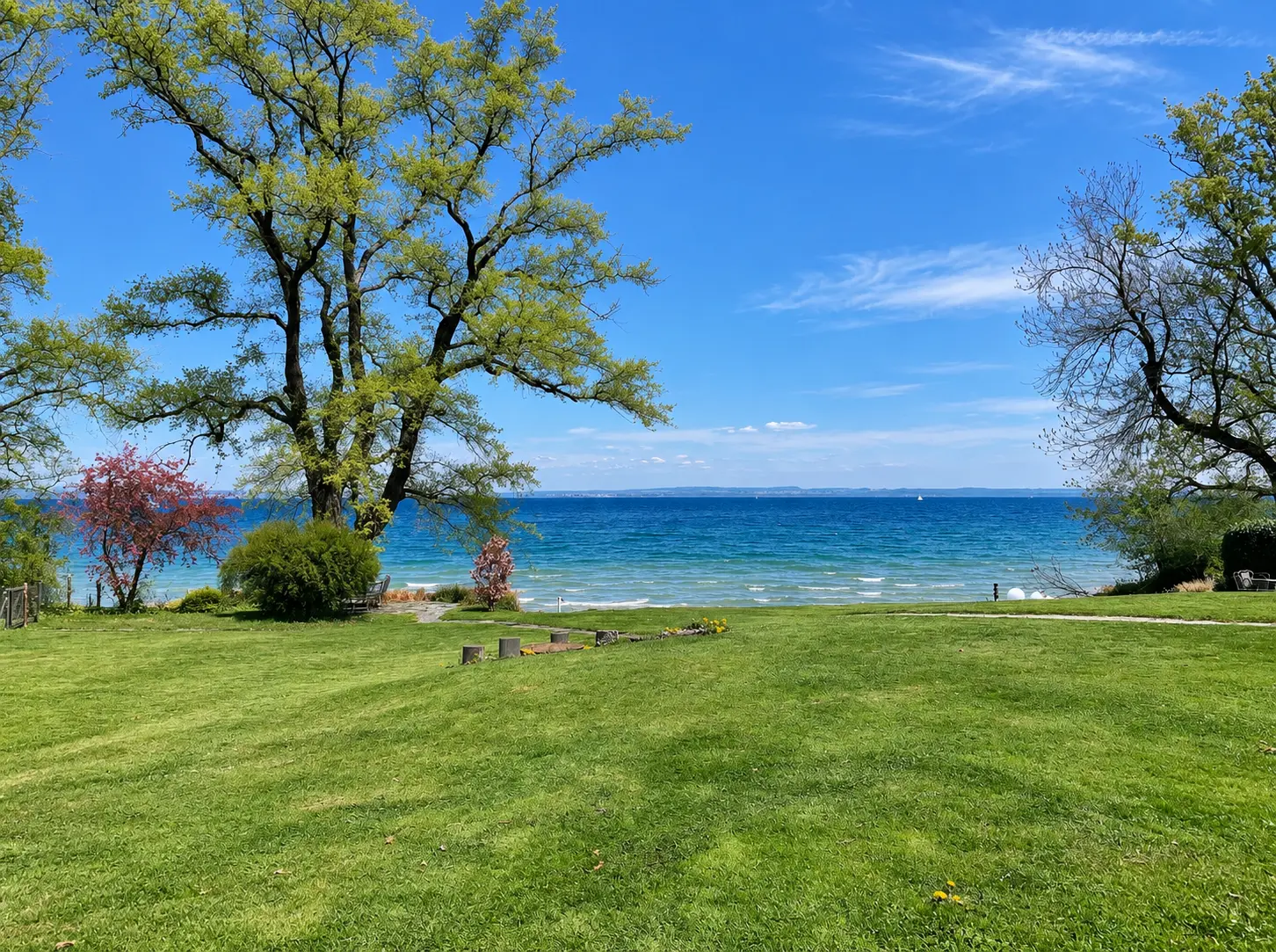 Blick über den Bodensee mit Bäumen und Himmel