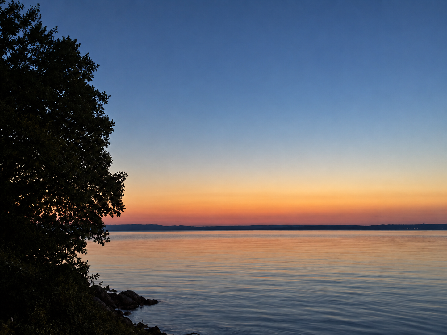 Sonnenuntergang über dem Bodensee mit Baum-Silhouette und Lichtreflexen im Wasser